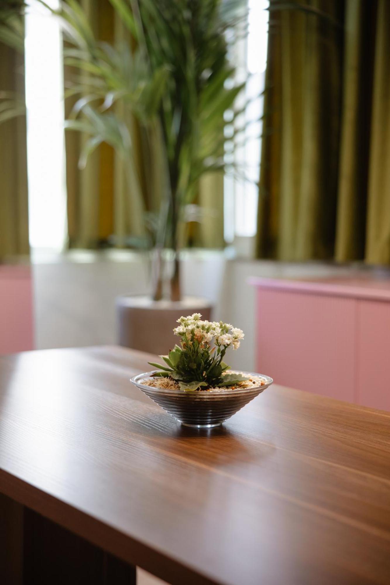 Corner Hostel Shkodër Dış mekan fotoğraf